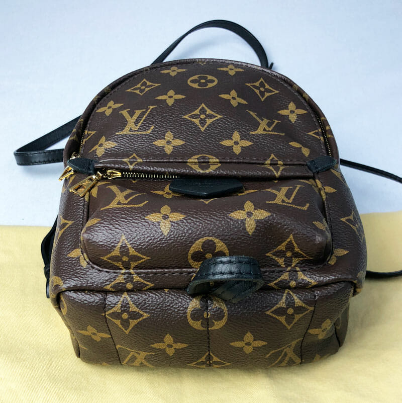 Louis Vuitton Palm Springs Mini Backpack - Monogram - Handbagholic