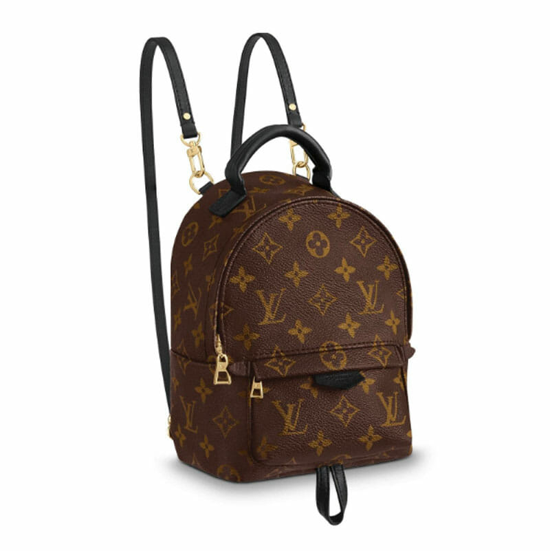 Louis Vuitton Palm Springs Mini Monogram