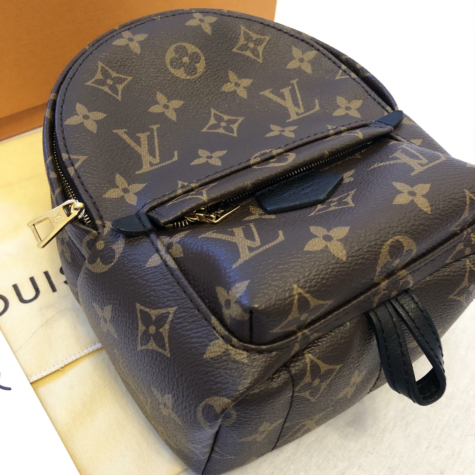 Louis Vuitton Palm Springs Mini Backpack - Handbagholic