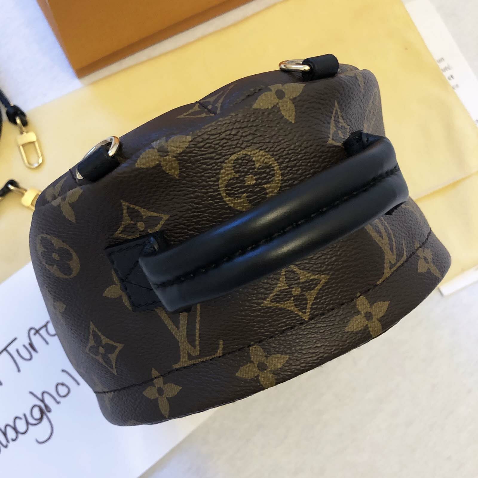 Louis Vuitton Palm Springs Mini Backpack - Handbagholic