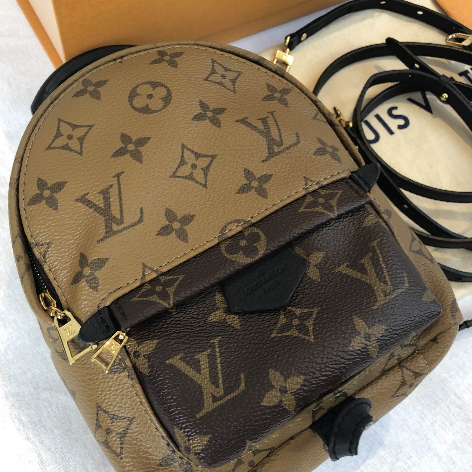 Louis Vuitton Palm Springs Mini Reverse Monogram Backpack - Handbagholic