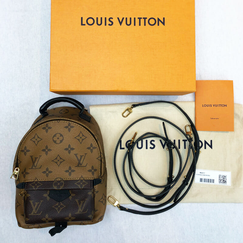 forbrug søskende belønning Louis Vuitton Palm Springs Mini Reverse Monogram Backpack - Handbagholic