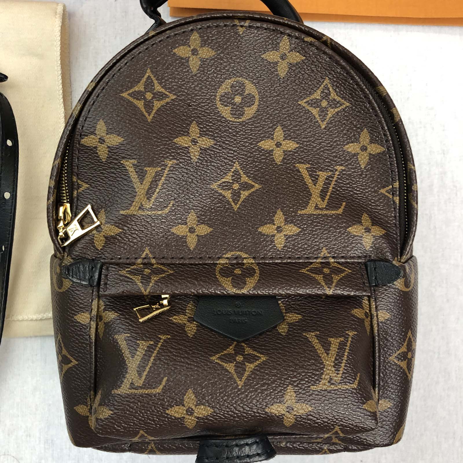 Louis Vuitton Palm Springs Mini Monogram Backpack - Handbagholic