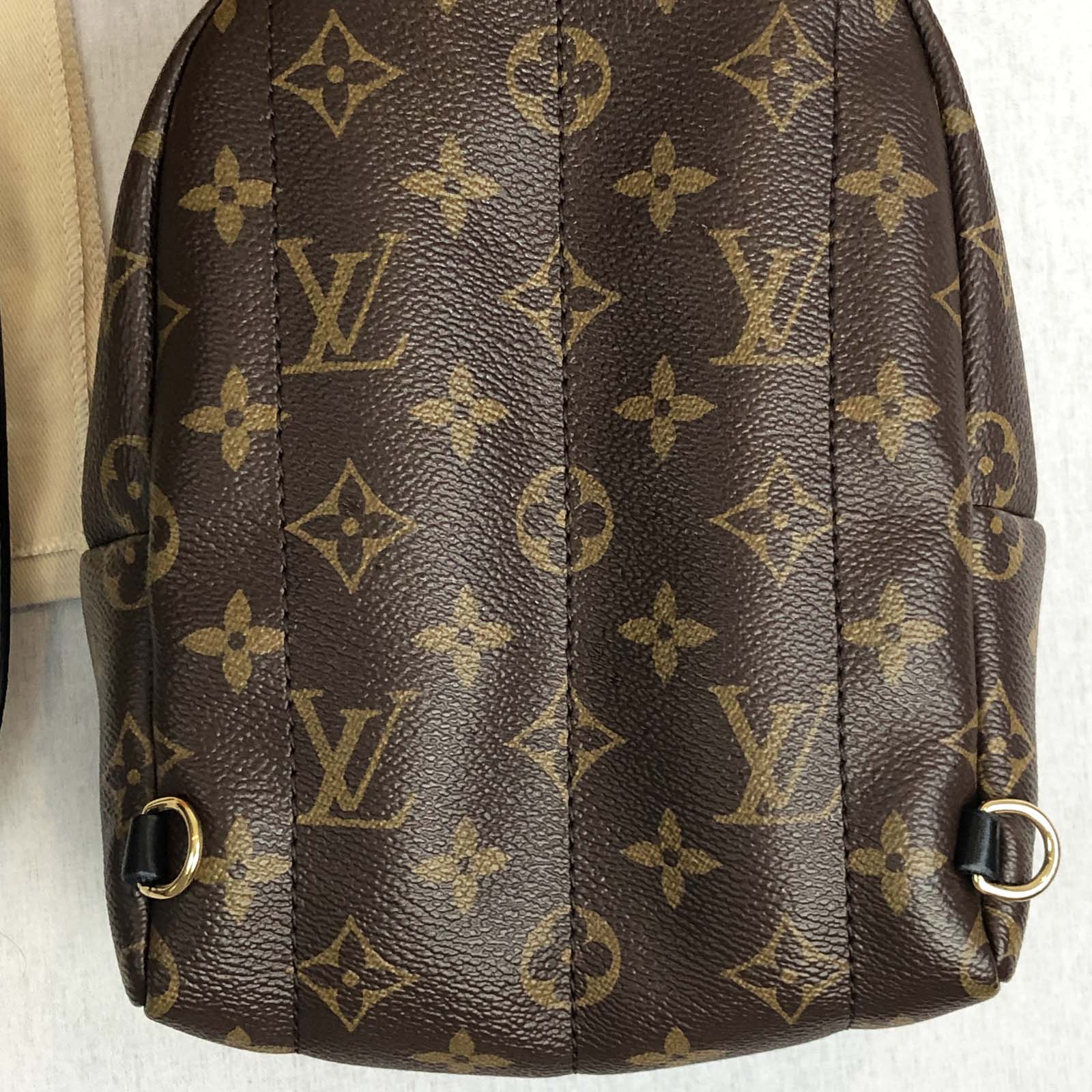 Louis Vuitton Palm Springs Mini Monogram Backpack - Handbagholic