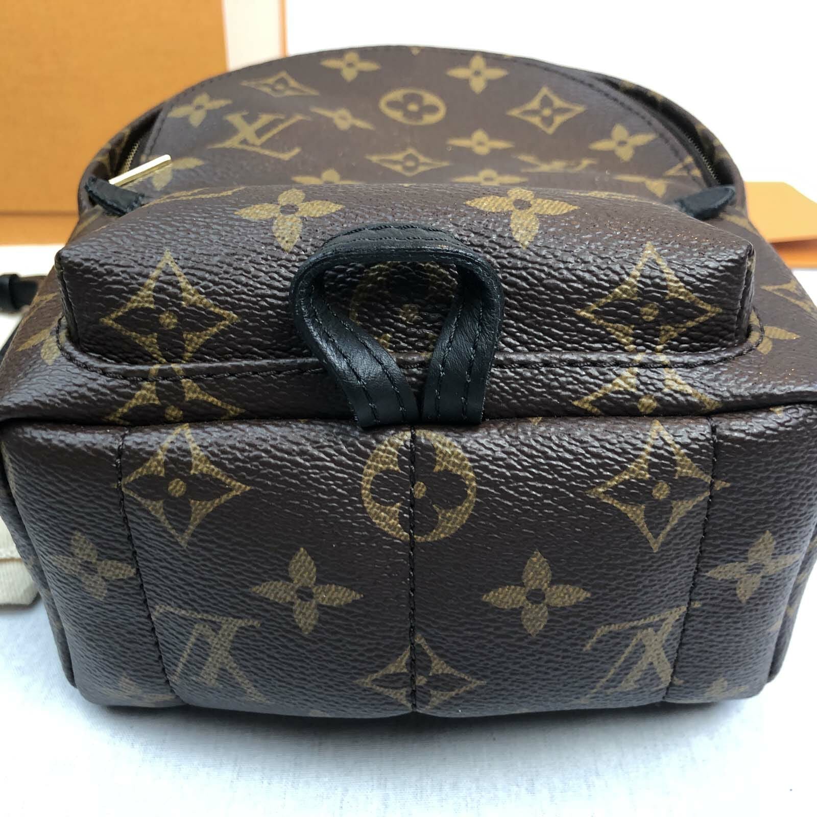 Louis Vuitton Palm Springs Mini Monogram Backpack - Handbagholic