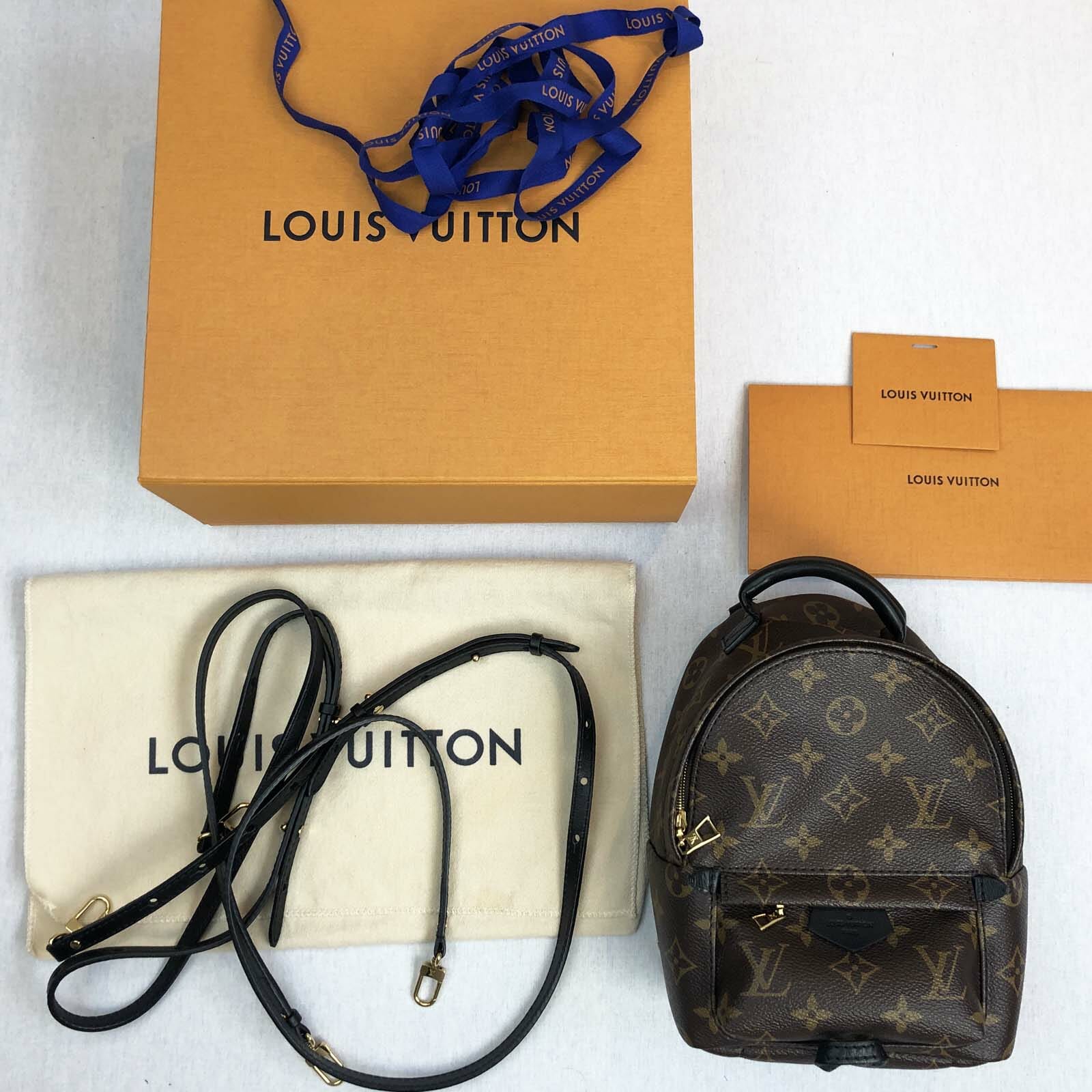 Louis Vuitton Palm Springs Backpack Organizer Insert, Backpack