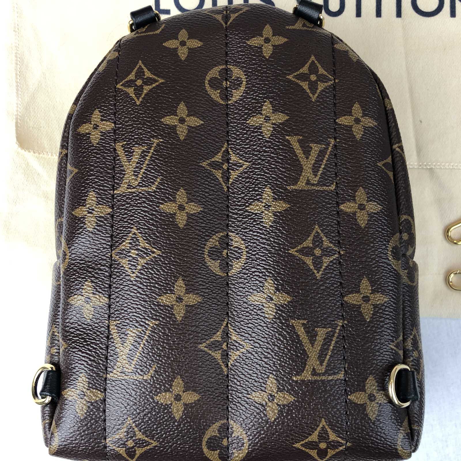 Lv Palm Springs Backpack Mini Date Code IUCN Water