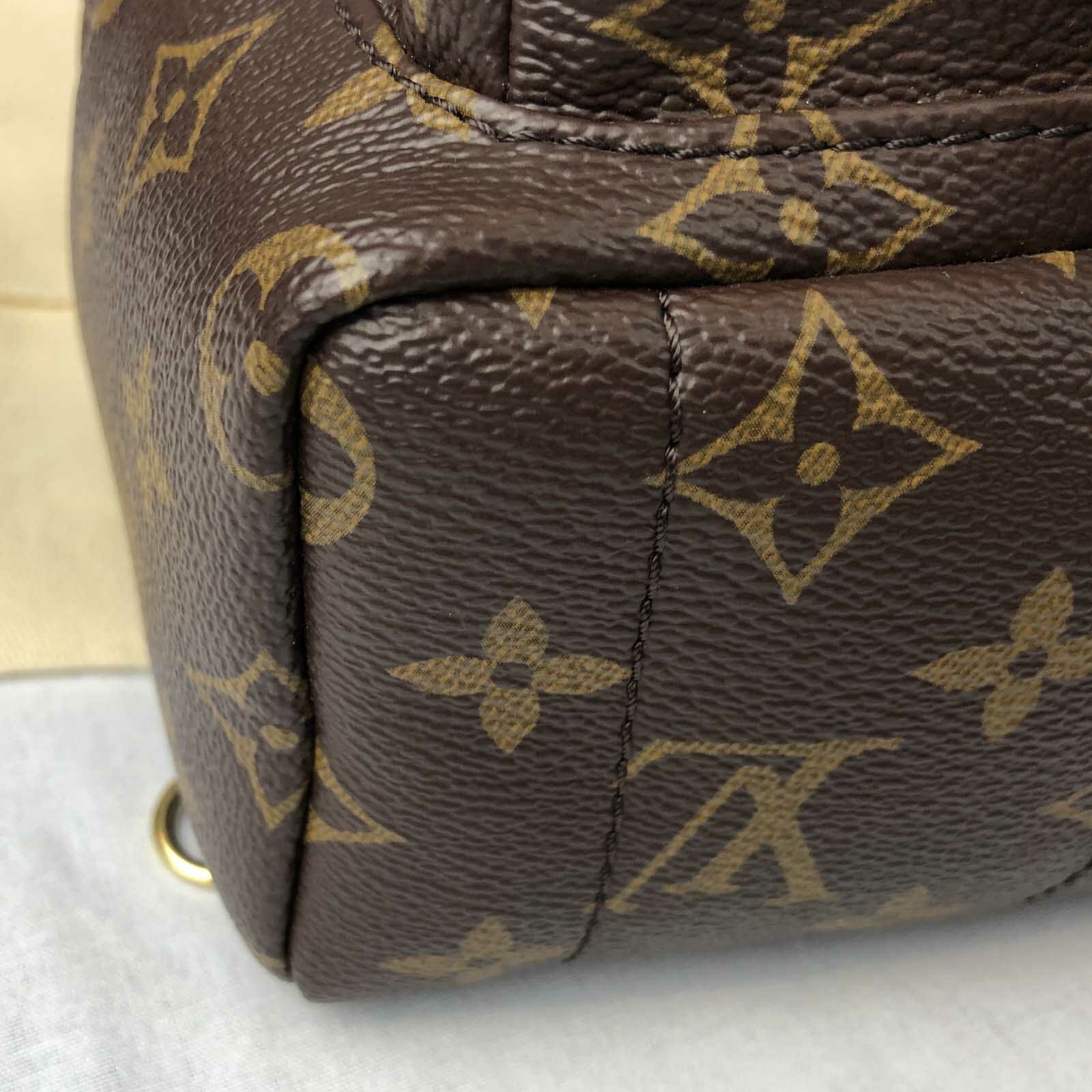 Used Authentic Louis Vuitton Backpacking