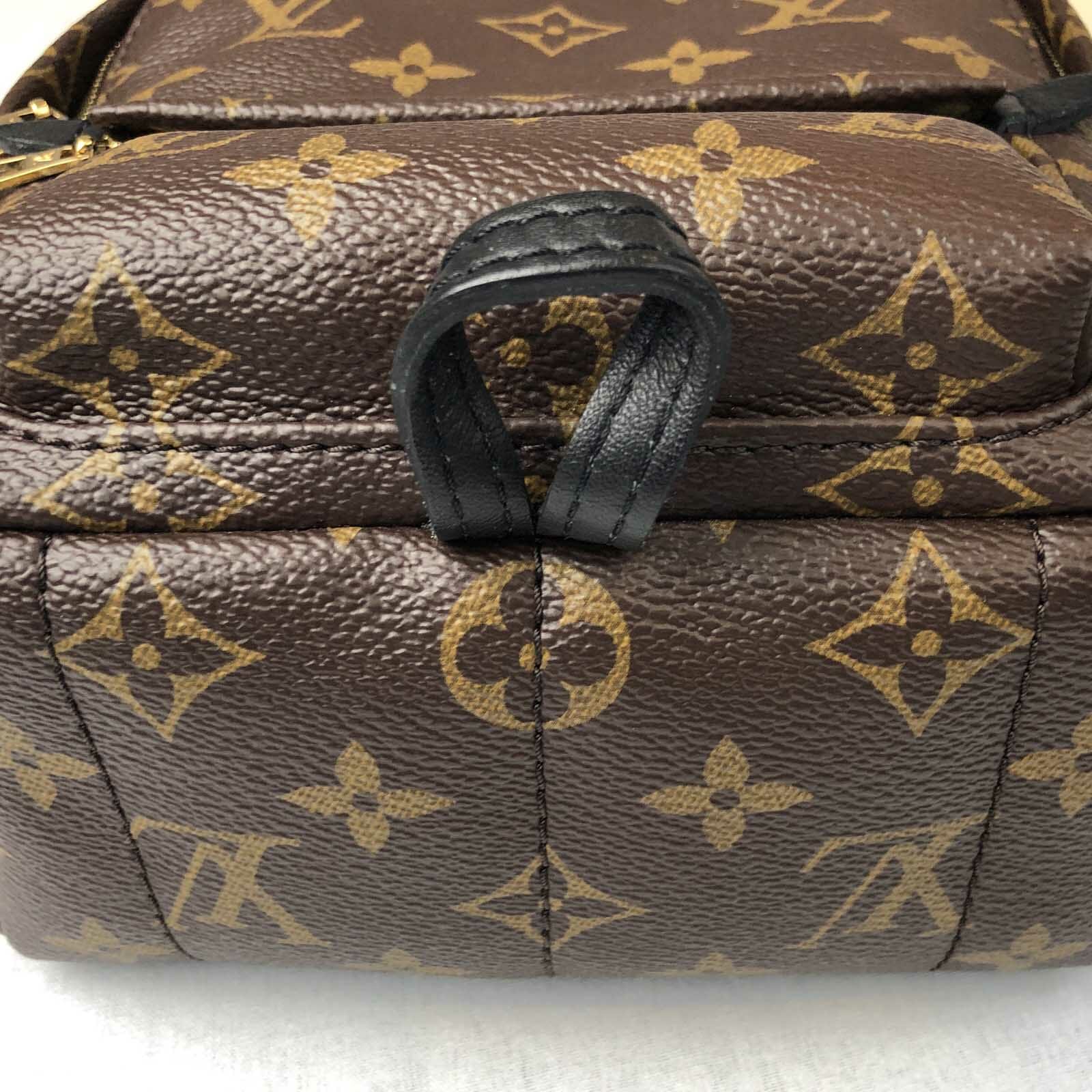 Louis Vuitton Palm Springs Mini Monogram Backpack - Used - Handbagholic