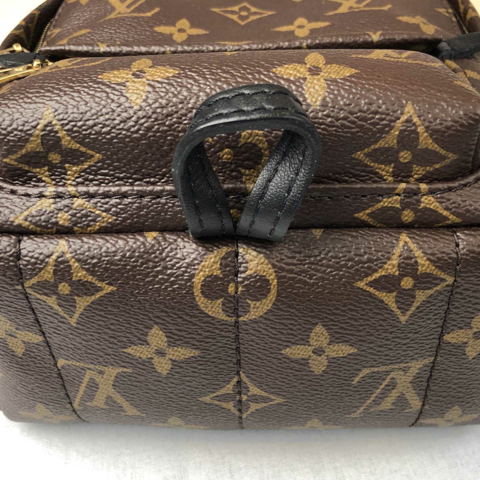 Louis Vuitton Palm Springs Mini 