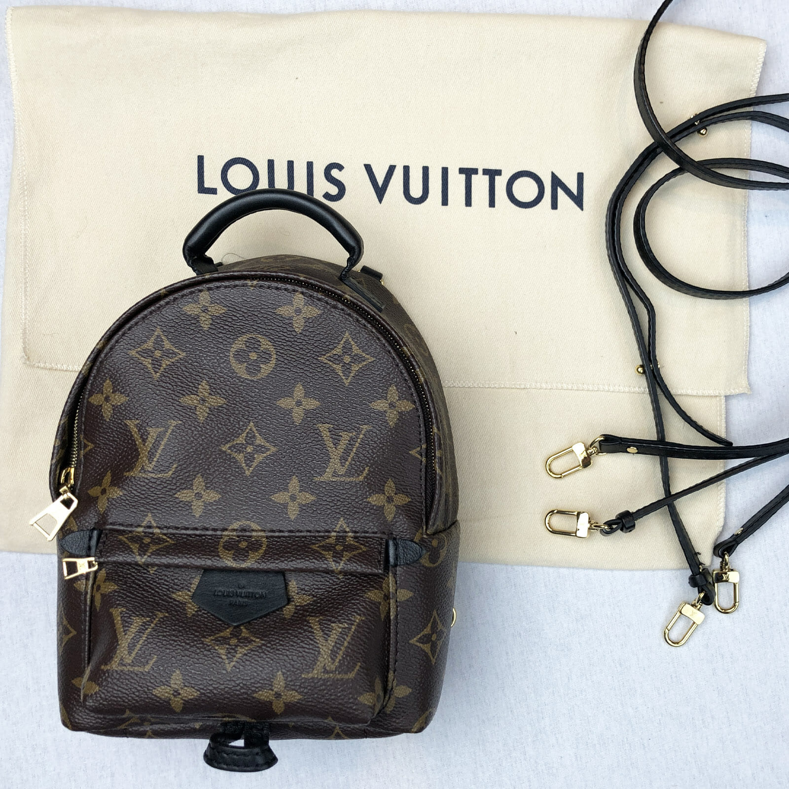 louis vuitton backpack mini used