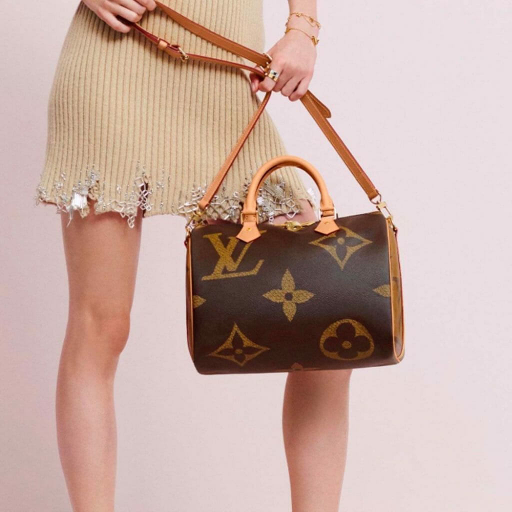 Louis Vuitton Giant Monogram Reverse Speedy 30 Bag - Handbagholic