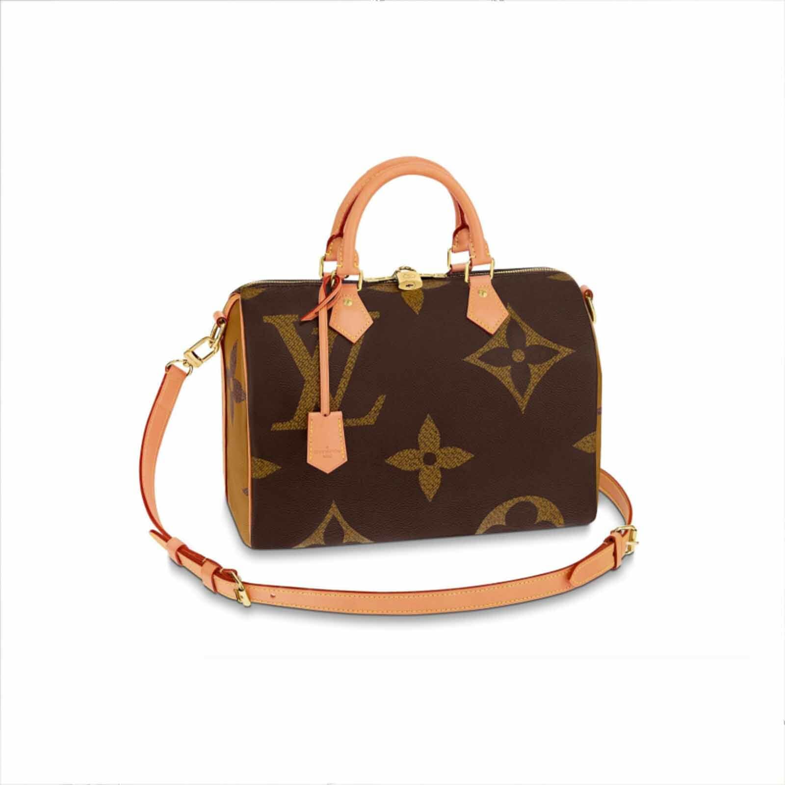 Louis Vuitton Giant Monogram Reverse Speedy 30 Bag - Handbagholic