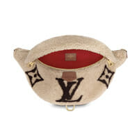 Louis Vuitton Fleece Shearling Monogram Teddy Bumbag Fanny Pack