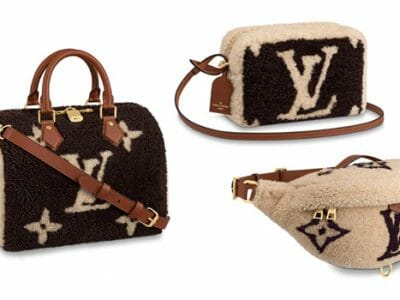 teddy louis vuitton