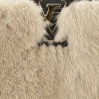 Louis Vuitton Capucines Fur Furry Bag