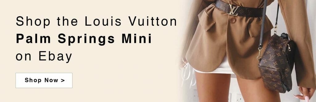 The Louis Vuitton Palm Springs Mini Backpack is the Bag of the Moment -  PurseBlog