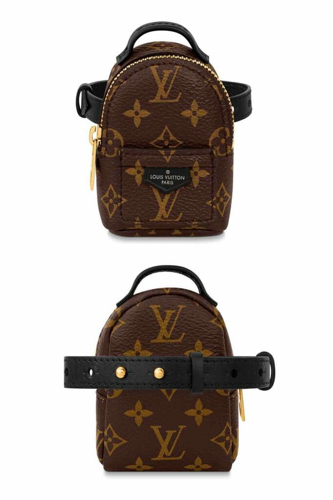 Louis Vuitton Bag Comparison, LV Palm Springs Mini Backpack vs. Bumbag, Bag Talk