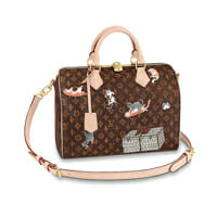 Louis Vuitton Catogram Speedy 30 Limited Edition