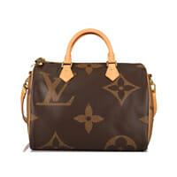 Louis Vuitton Giant Monogram Speedy 30 Limited Edition