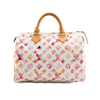 Louis Vuitton Watercolour Speedy 35 Limited Edition