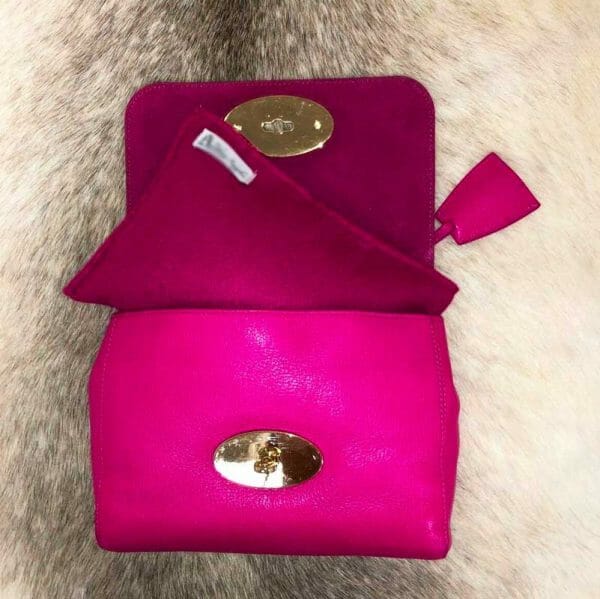 Mini Felt Luxury Purse Pillow Handbag Insert
