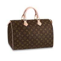 What's in my bag  Louis Vuitton Speedy 30 Damier Ebene & Review