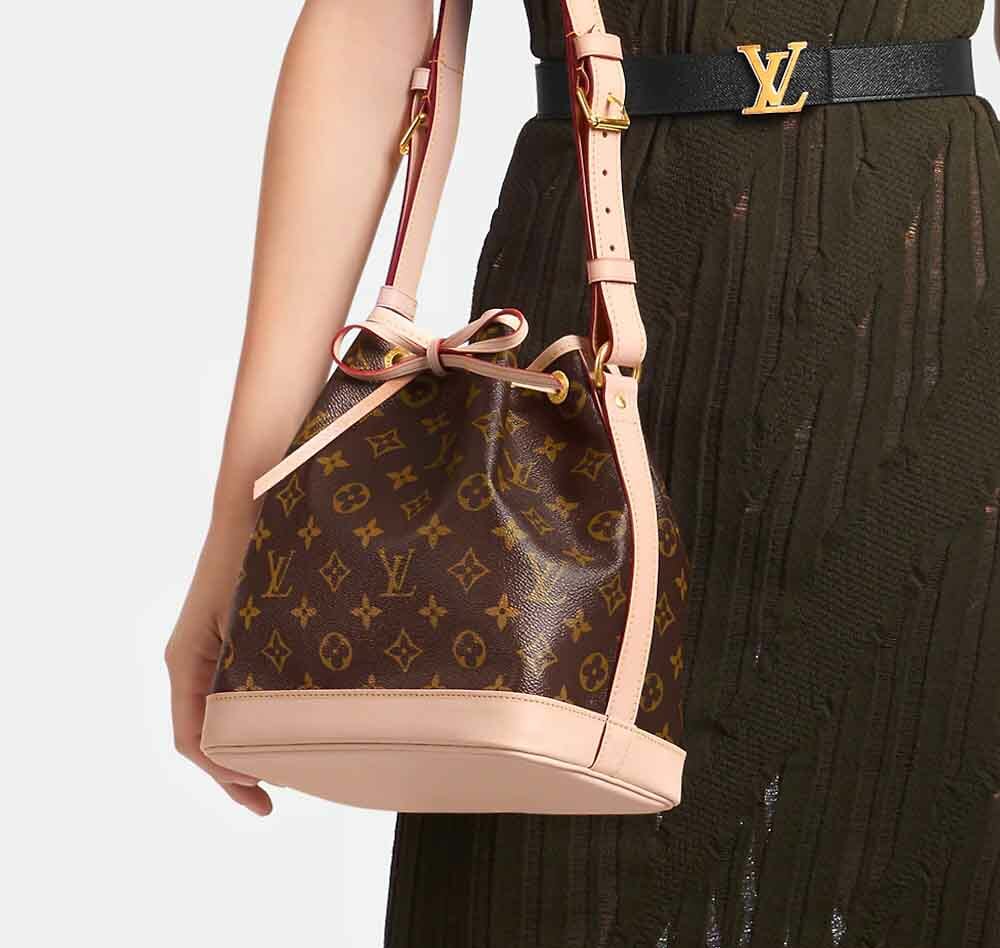 Louis Vuitton NOÉ BB bag in monogram

