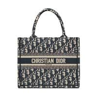 Christian Dior Small Book tote blue oblique Bag Thumbnail