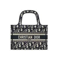 Christian Dior Mini oblique book tote Bag Thumbnail