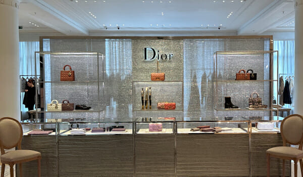 13 CHEAPEST Dior Bags