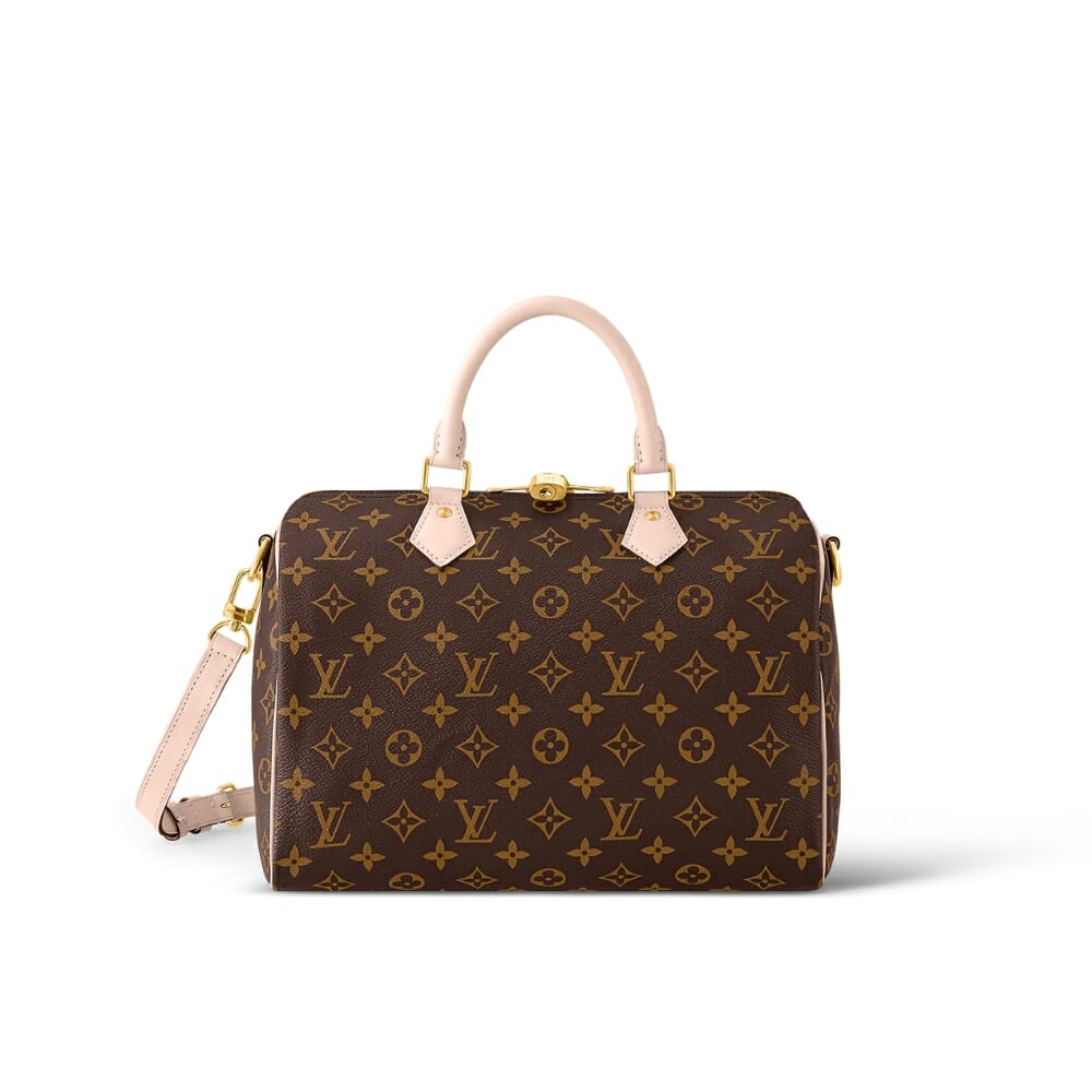 The Ultimate Guide to the Louis Vuitton Speedy Bag - Handbagholic