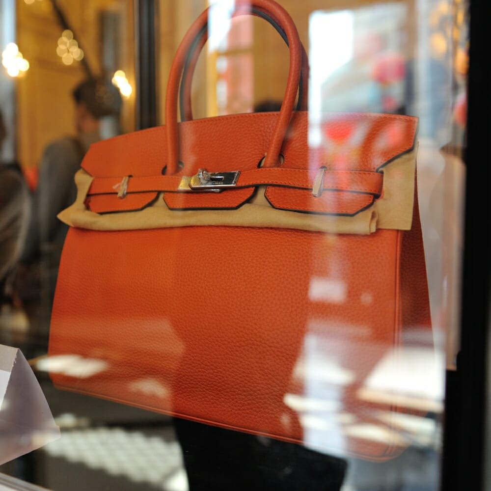 Hermes Birkin in Display Case